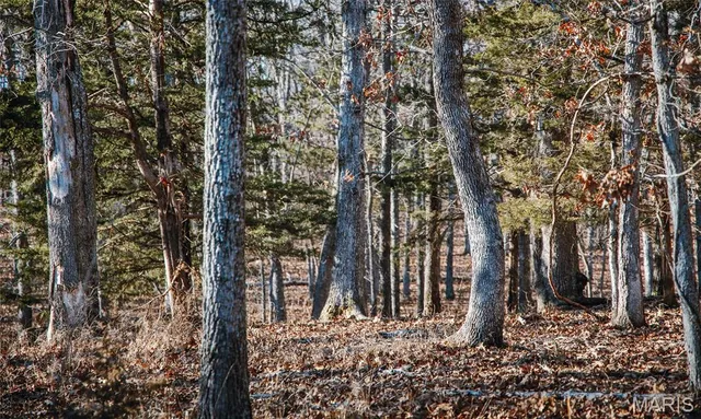 $549,900 | 38925 Stonepiler Avenue, Edwards, MO 65326