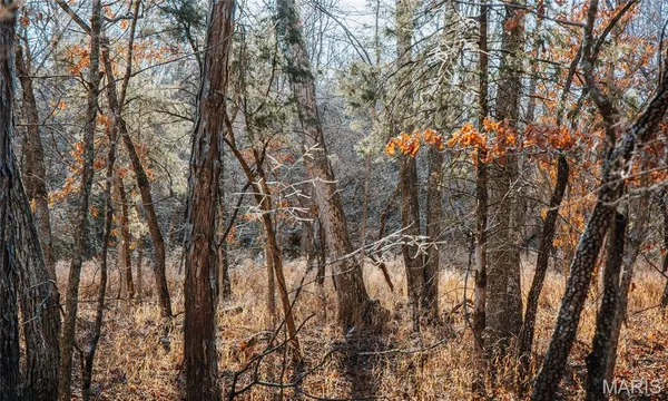 $549,900 | 38925 Stonepiler Avenue, Edwards, MO 65326