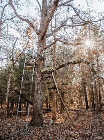 $549,900 | 38925 Stonepiler Avenue, Edwards, MO 65326