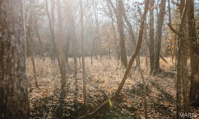 $549,900 | 38925 Stonepiler Avenue, Edwards, MO 65326