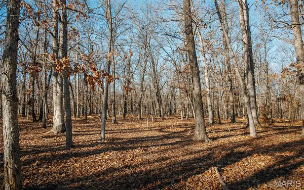 $549,900 | 38925 Stonepiler Avenue, Edwards, MO 65326