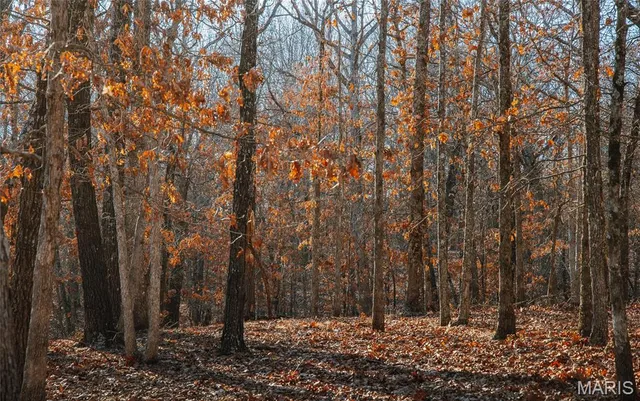 $549,900 | 38925 Stonepiler Avenue, Edwards, MO 65326