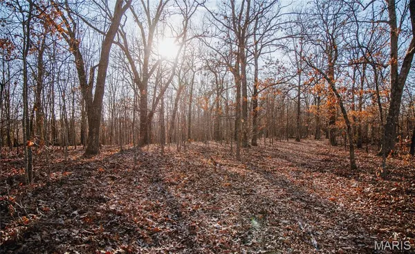 $549,900 | 38925 Stonepiler Avenue, Edwards, MO 65326