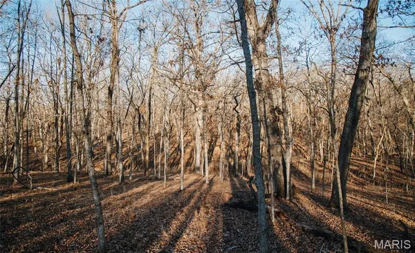 $549,900 | 38925 Stonepiler Avenue, Edwards, MO 65326