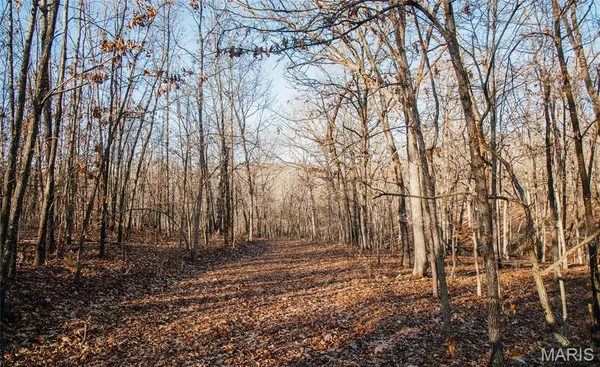 $549,900 | 38925 Stonepiler Avenue, Edwards, MO 65326