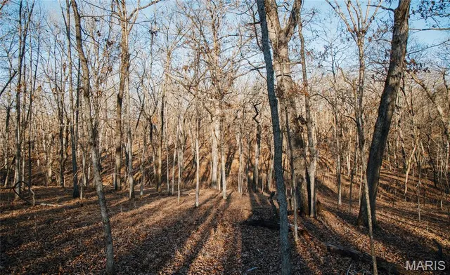 $549,900 | 38925 Stonepiler Avenue, Edwards, MO 65326