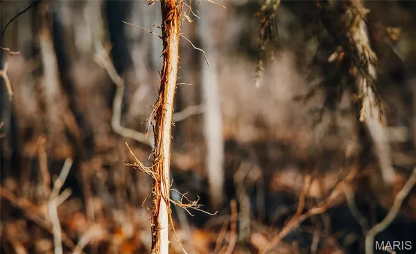 $549,900 | 38925 Stonepiler Avenue, Edwards, MO 65326