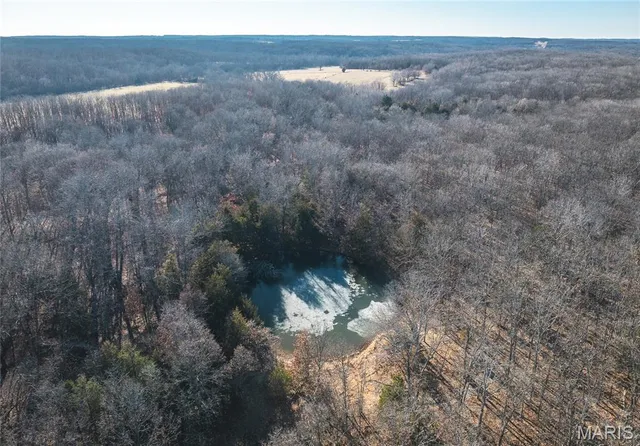 $549,900 | 38925 Stonepiler Avenue, Edwards, MO 65326