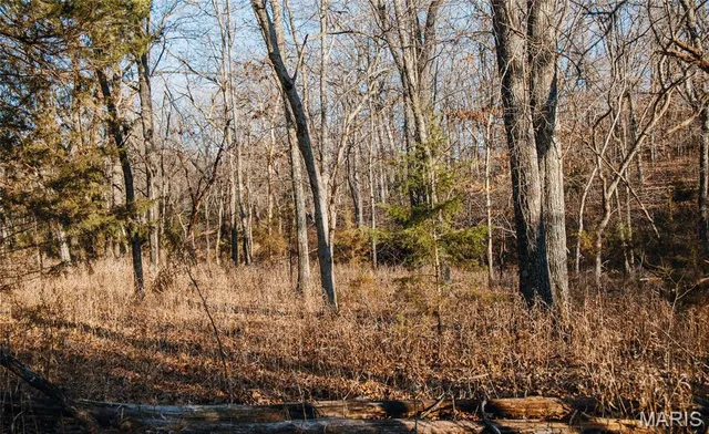 $549,900 | 38925 Stonepiler Avenue, Edwards, MO 65326