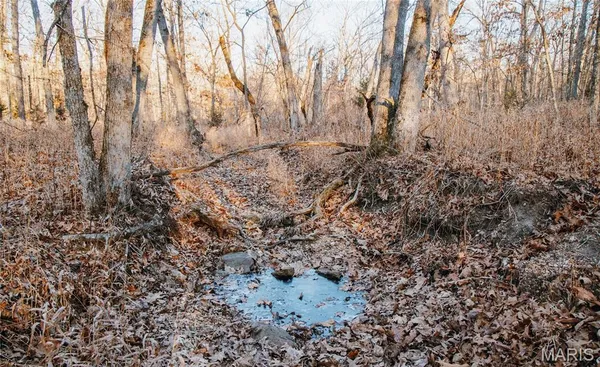 $549,900 | 38925 Stonepiler Avenue, Edwards, MO 65326