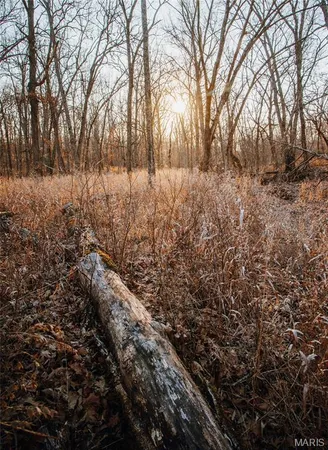 $549,900 | 38925 Stonepiler Avenue, Edwards, MO 65326