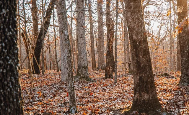 $549,900 | 38925 Stonepiler Avenue, Edwards, MO 65326