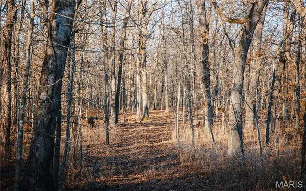 $549,900 | 38925 Stonepiler Avenue, Edwards, MO 65326