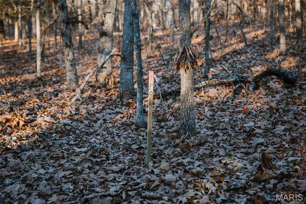 $549,900 | 38925 Stonepiler Avenue, Edwards, MO 65326