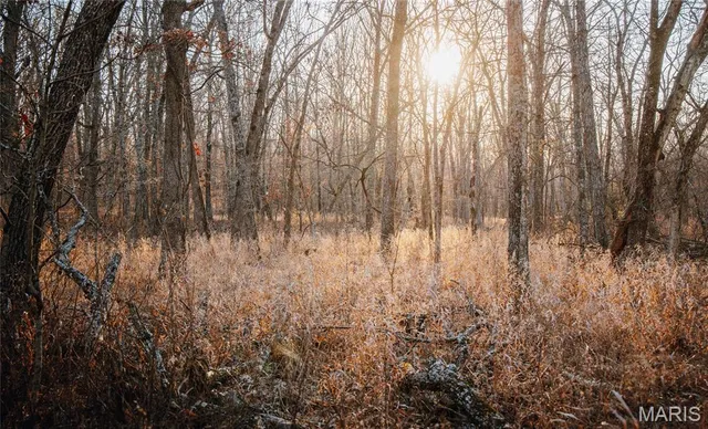 $549,900 | 38925 Stonepiler Avenue, Edwards, MO 65326