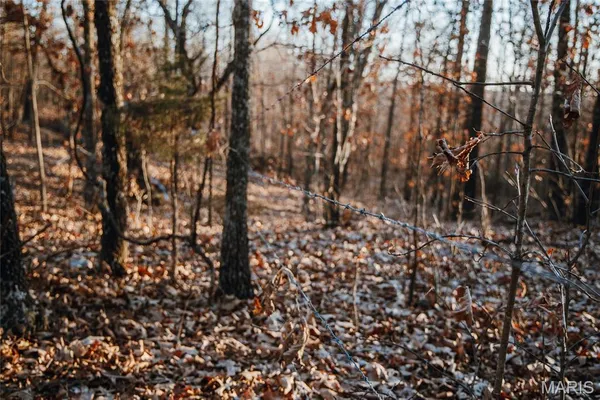 $549,900 | 38925 Stonepiler Avenue, Edwards, MO 65326