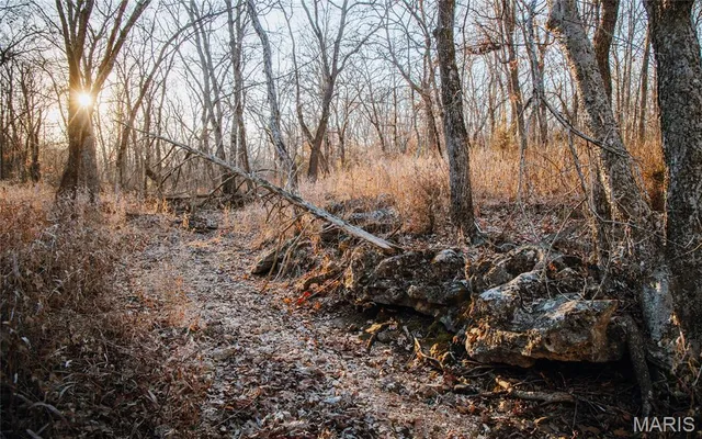 $549,900 | 38925 Stonepiler Avenue, Edwards, MO 65326