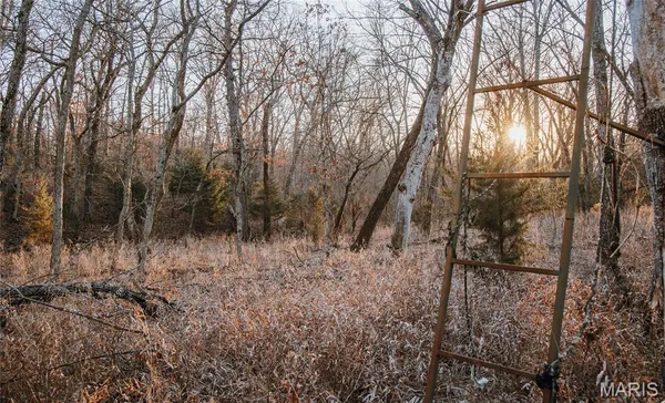 $549,900 | 38925 Stonepiler Avenue, Edwards, MO 65326