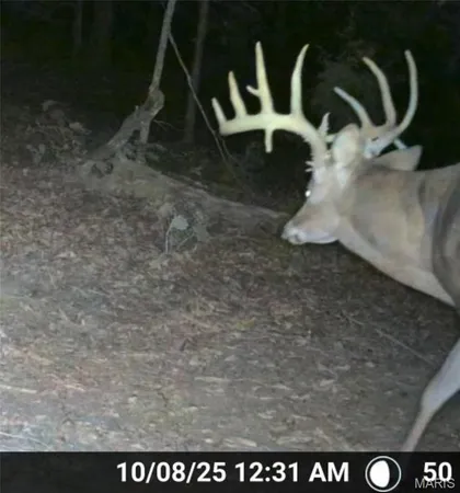 $549,900 | 38925 Stonepiler Avenue, Edwards, MO 65326