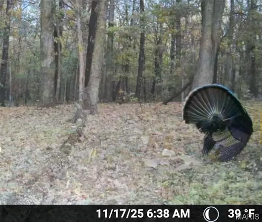 $549,900 | 38925 Stonepiler Avenue, Edwards, MO 65326