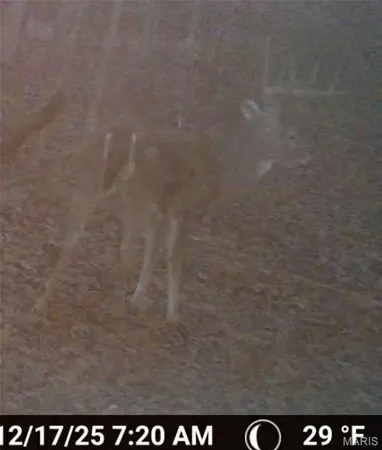 $549,900 | 38925 Stonepiler Avenue, Edwards, MO 65326