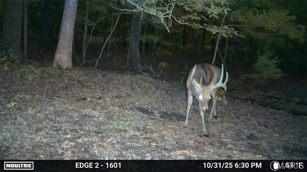 $549,900 | 38925 Stonepiler Avenue, Edwards, MO 65326