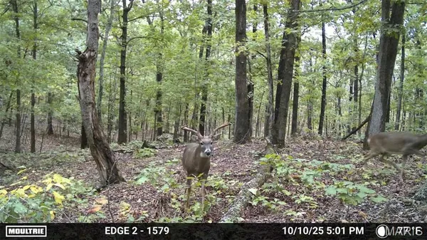 $549,900 | 38925 Stonepiler Avenue, Edwards, MO 65326