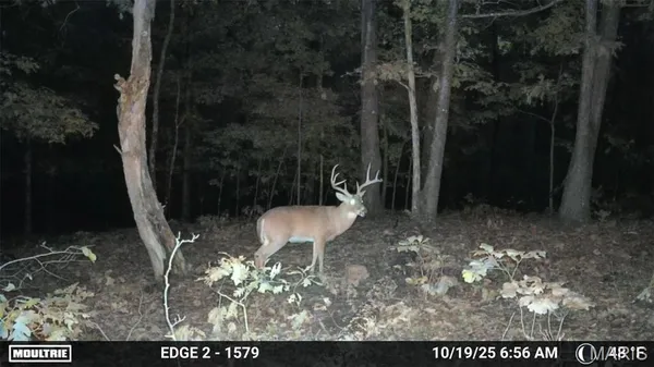 $549,900 | 38925 Stonepiler Avenue, Edwards, MO 65326