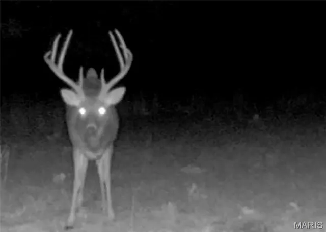 $549,900 | 38925 Stonepiler Avenue, Edwards, MO 65326