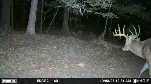 $549,900 | 38925 Stonepiler Avenue, Edwards, MO 65326