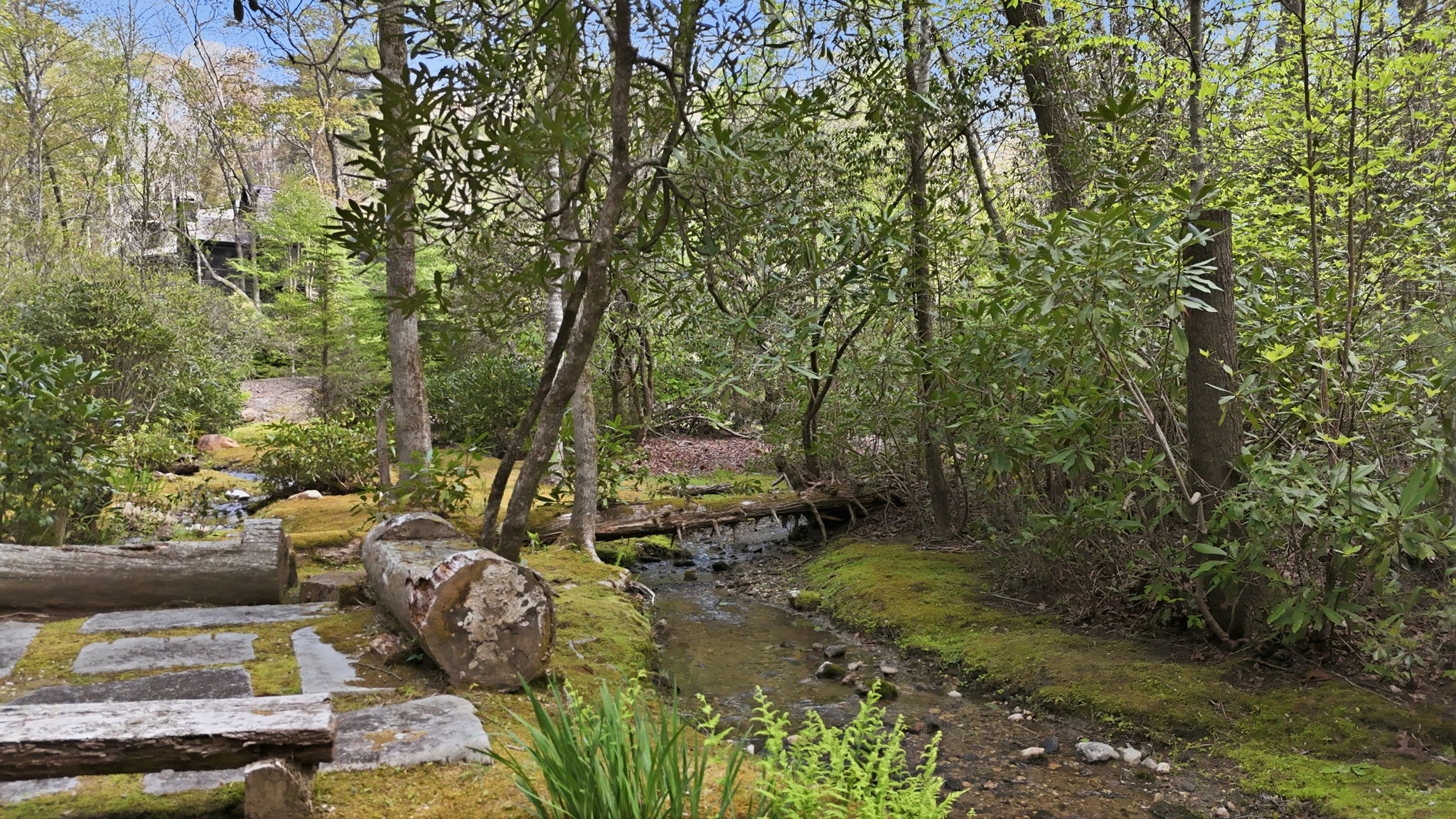 132 Still Water Road Cashiers, NC 28717 - Photo 24 of 33 Gallery Image 24