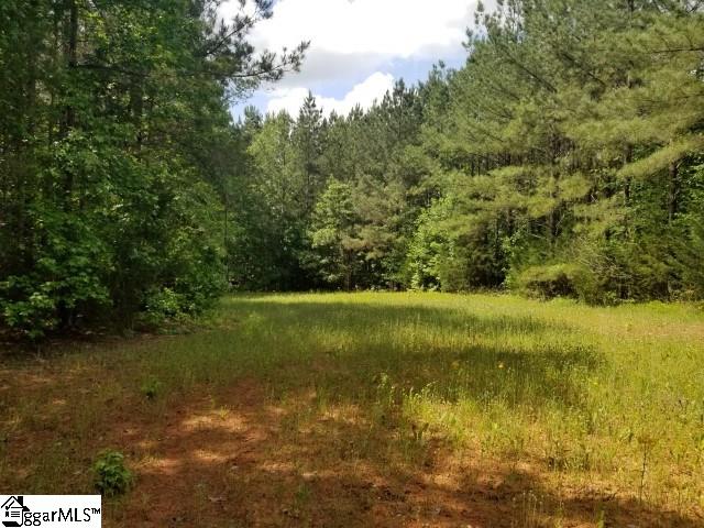 Frontage Road Gray Court, SC 29645 - Photo 4 of 11 Gallery Image 4