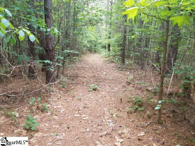 Frontage Road Gray Court, SC 29645 - Photo 8 of 11 Gallery Image 8