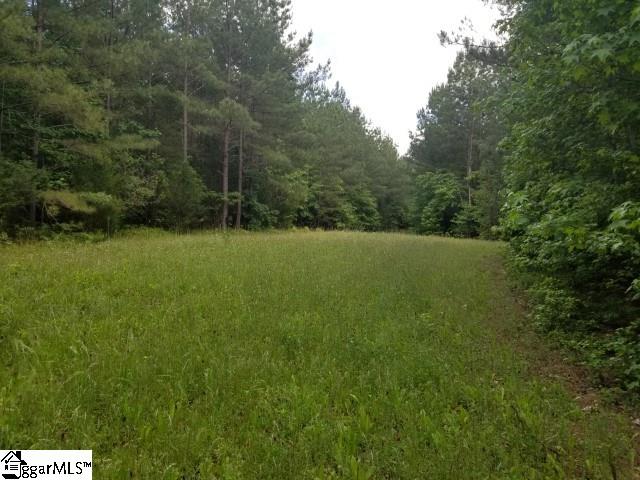 Frontage Road Gray Court, SC 29645 - Photo 9 of 11 Gallery Image 9