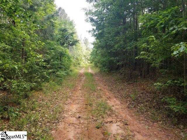 Frontage Road Gray Court, SC 29645 - Photo 10 of 11 Gallery Image 10