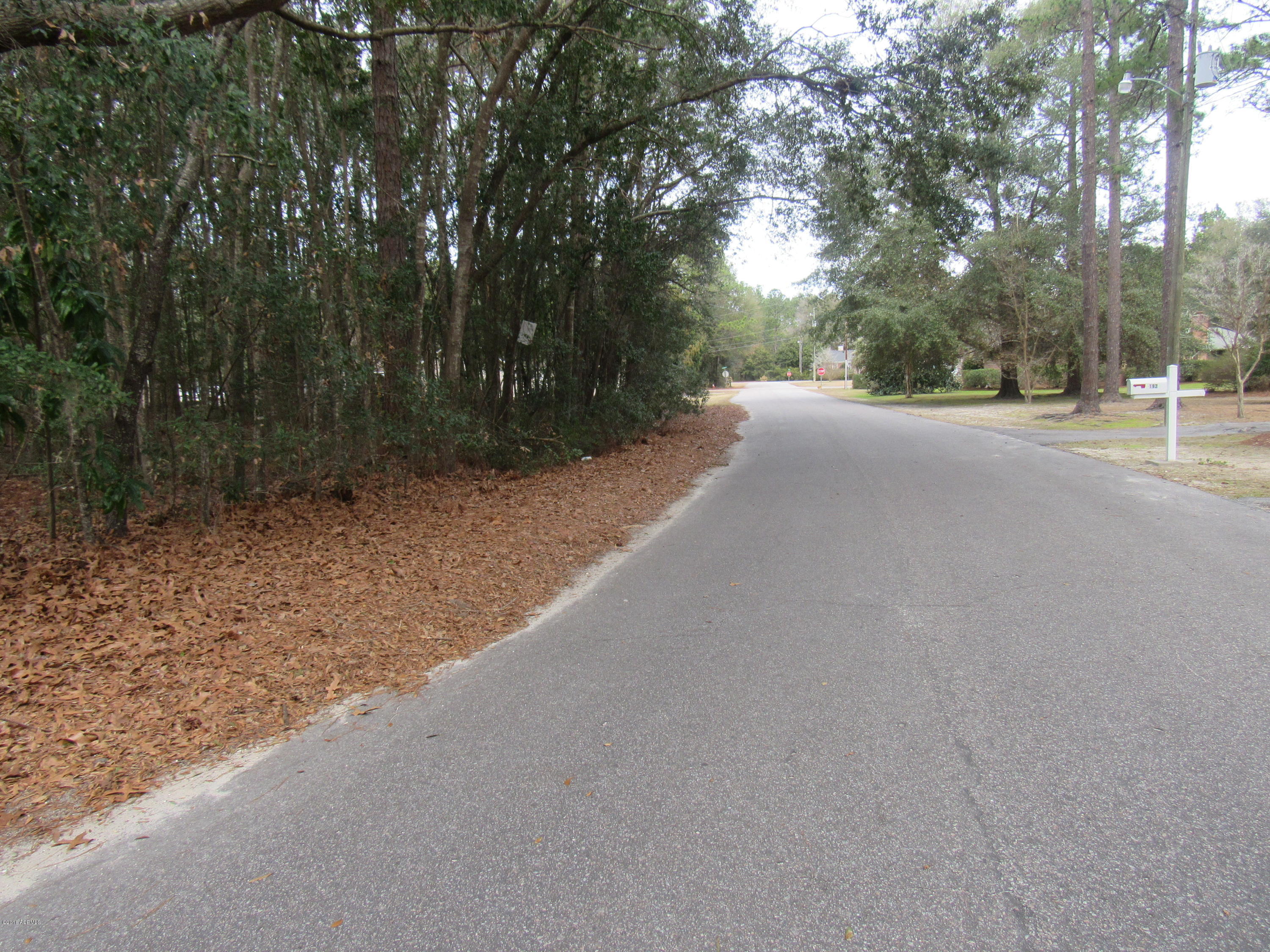 Tbd Ingram Street Ridgeland, SC 29936 - Photo 2 of 3 IMG_4061