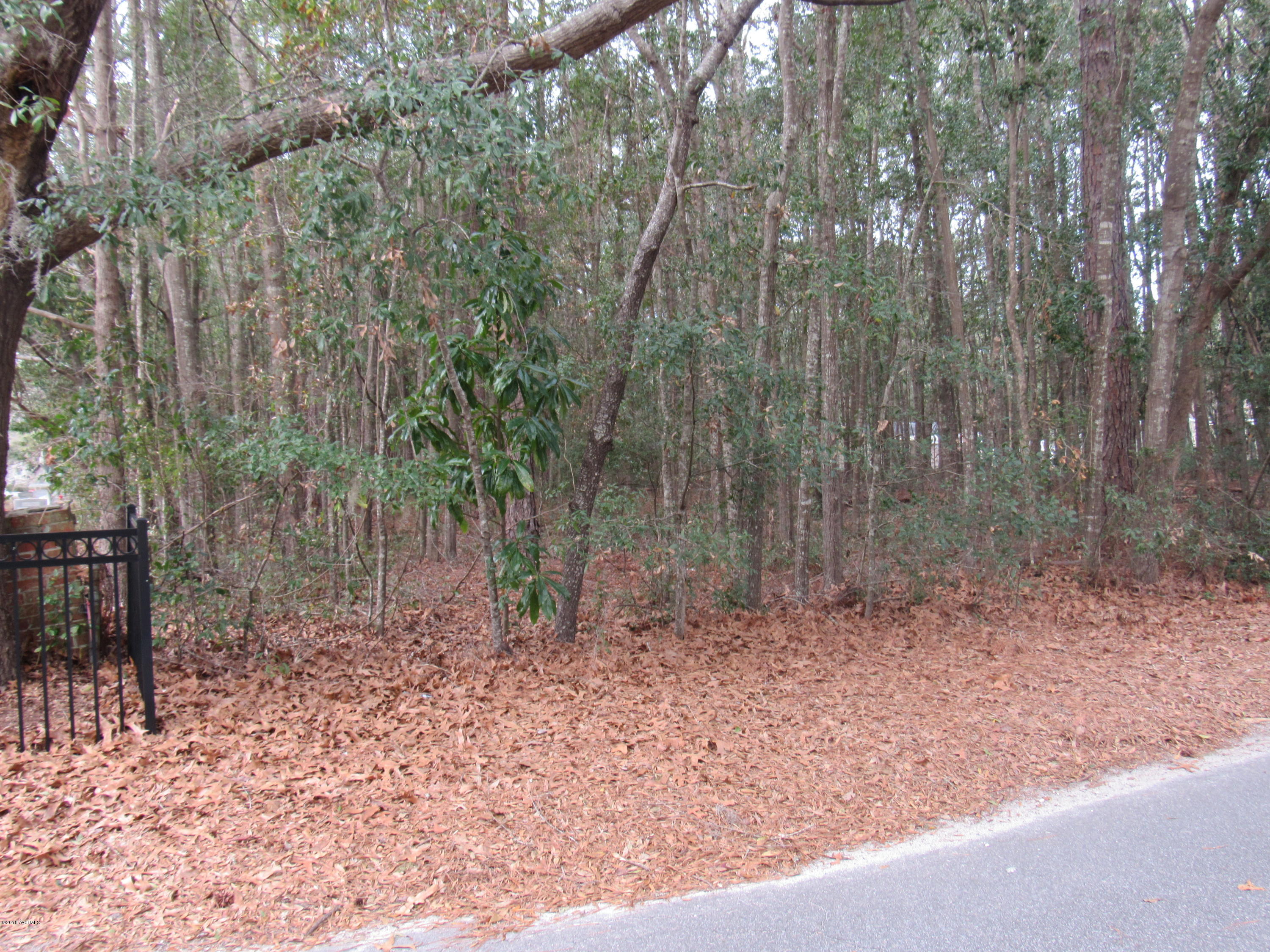 Tbd Ingram Street Ridgeland, SC 29936 - Photo 3 of 3 IMG_4063