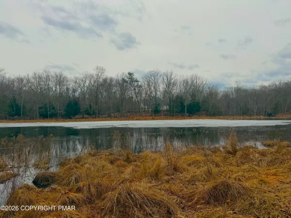 a view of a lake with trees in the background