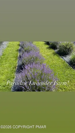 a backyard of a house with a yard and lake view