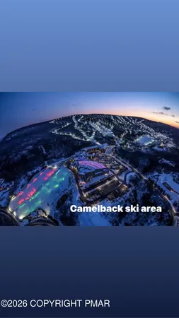 a view of empty space with trees