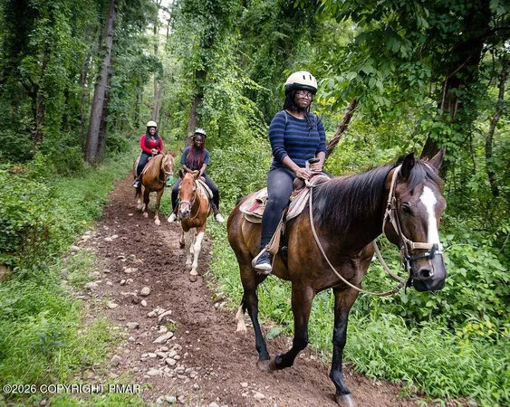 $279,000 | 1374 Spruce Drive, Cresco, PA 18326