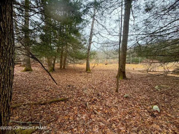 a view of outdoor space