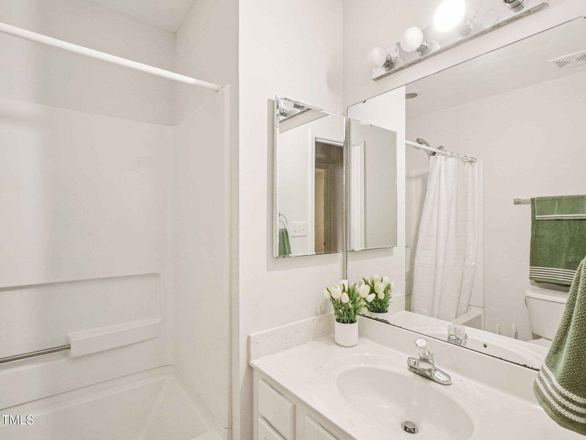 2228 Trailwood Valley Circle Raleigh, NC 27603 - Photo 15 of 19 a bathroom with a sink and a mirror
