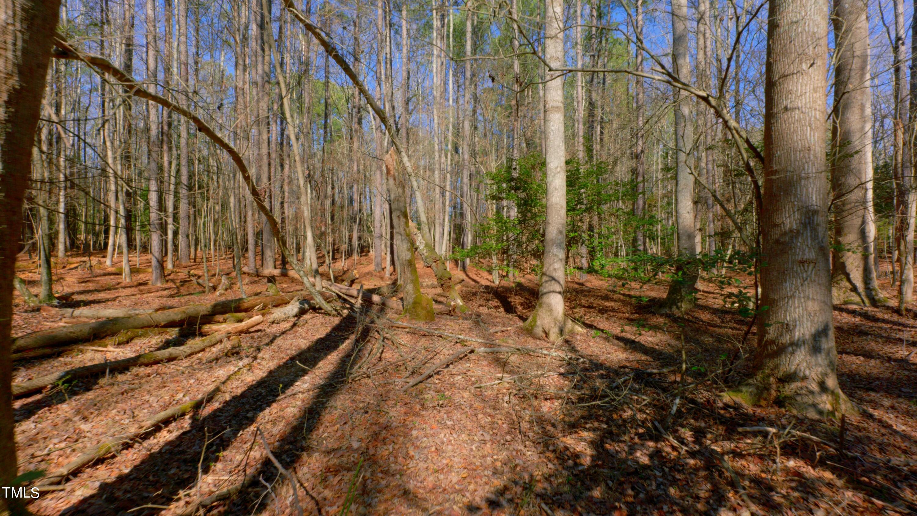 7406 Mitchell Mill Road Zebulon, NC 27597 - Photo 12 of 23 eKingdom Tracts Ground Still27