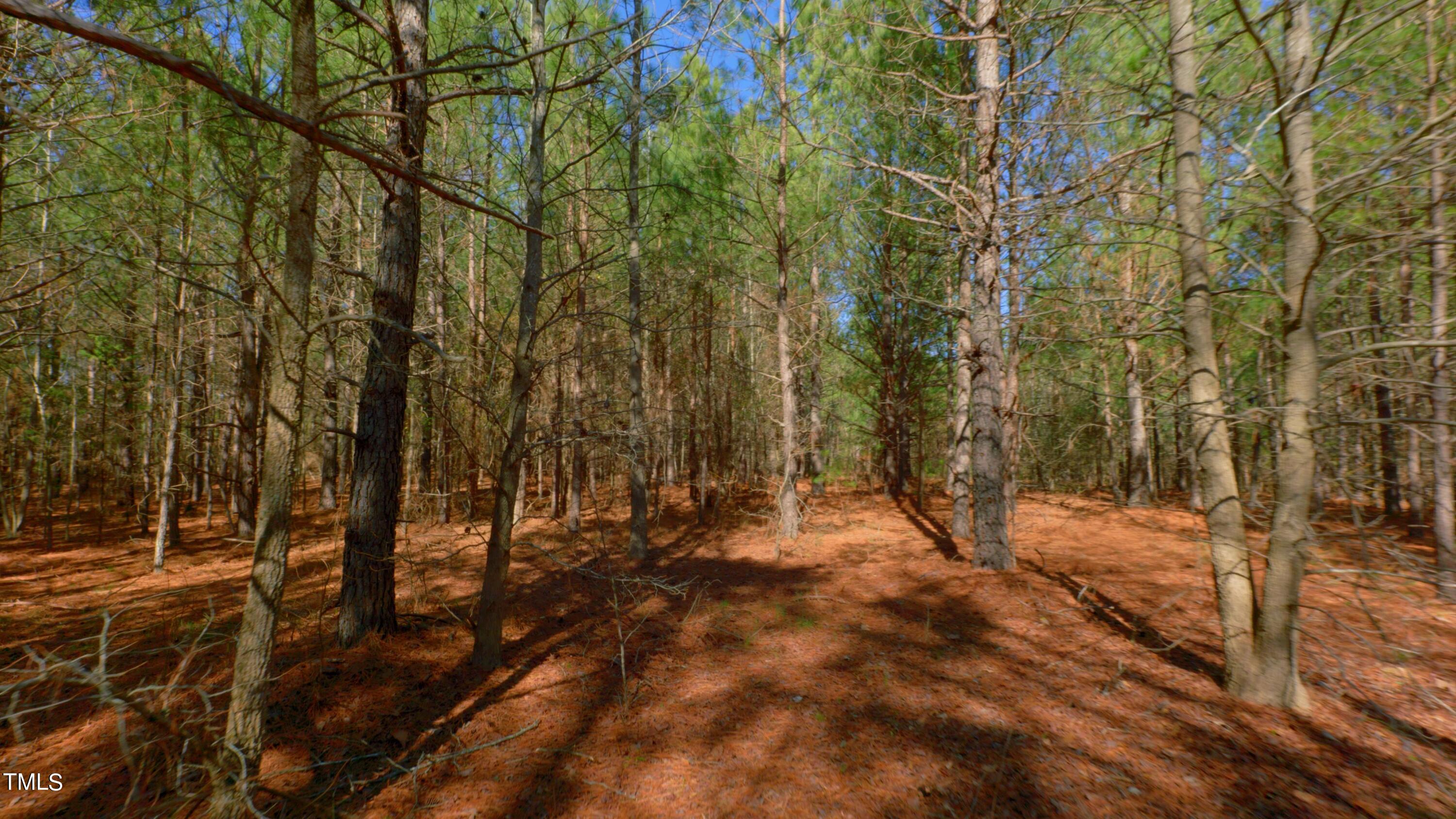 7406 Mitchell Mill Road Zebulon, NC 27597 - Photo 14 of 23 eKingdom Tracts Ground Still30