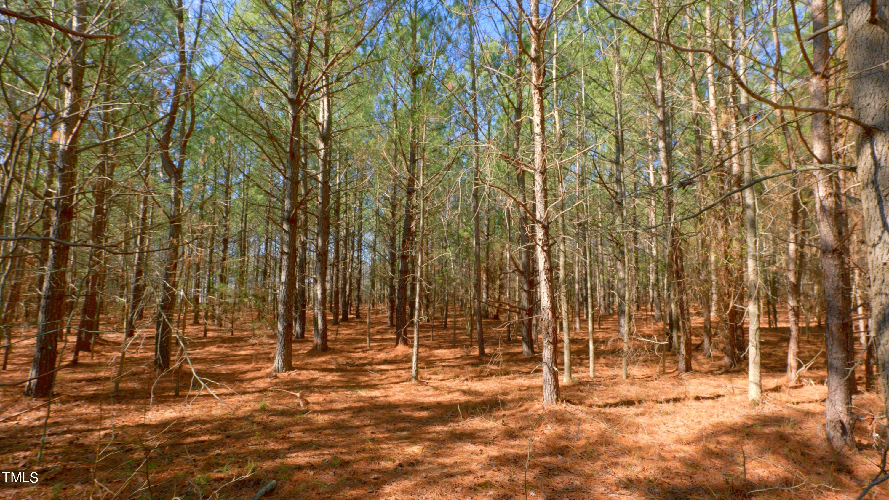 7406 Mitchell Mill Road Zebulon, NC 27597 - Photo 15 of 23 eKingdom Tracts Ground Still31