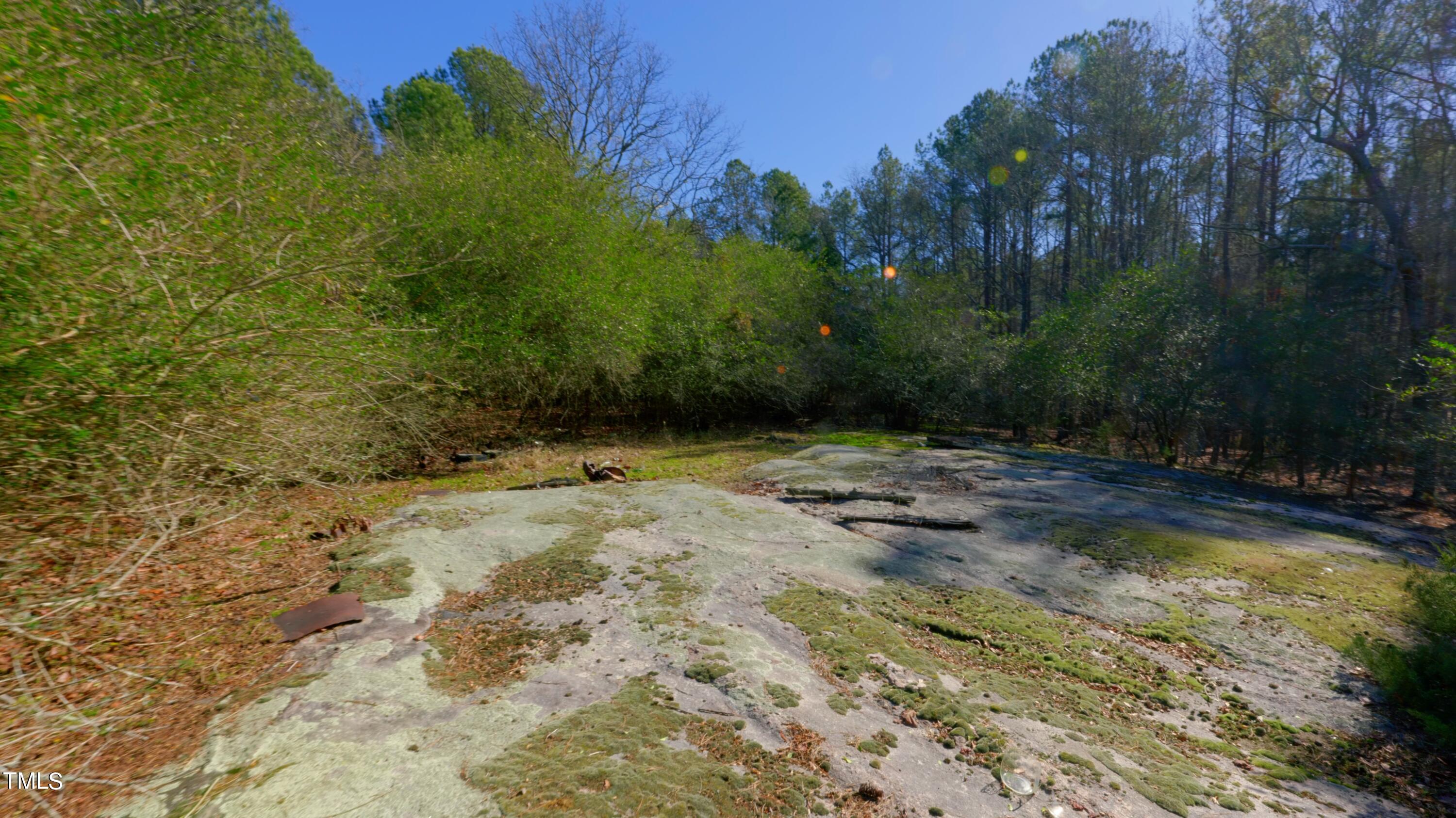 7406 Mitchell Mill Road Zebulon, NC 27597 - Photo 10 of 23 eKingdom Tracts Ground Still19