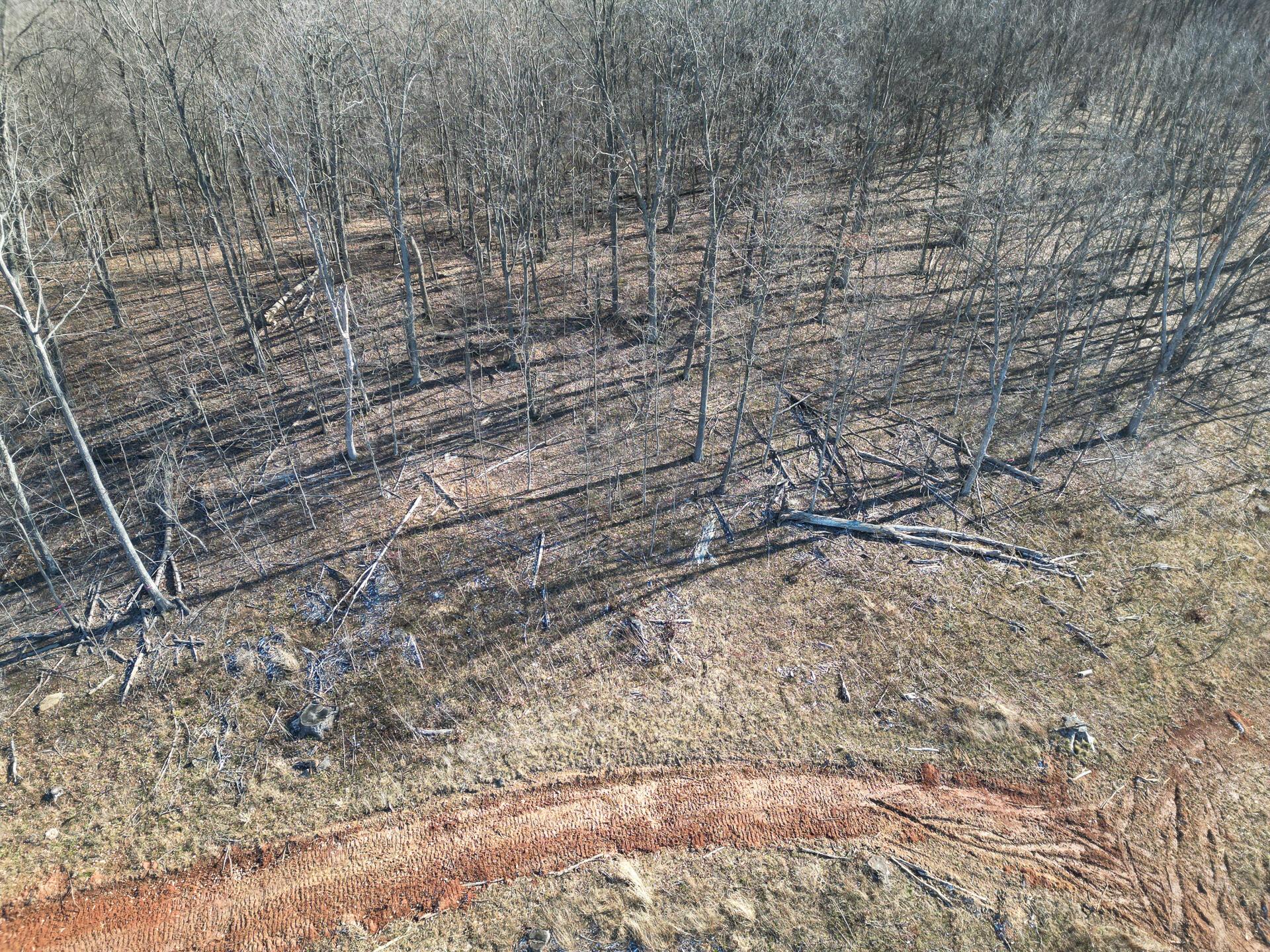 0 Hampton Hollow Road, Unit 7 ACRE TRACT) Langsville, OH 45741 - Photo 13 of 55