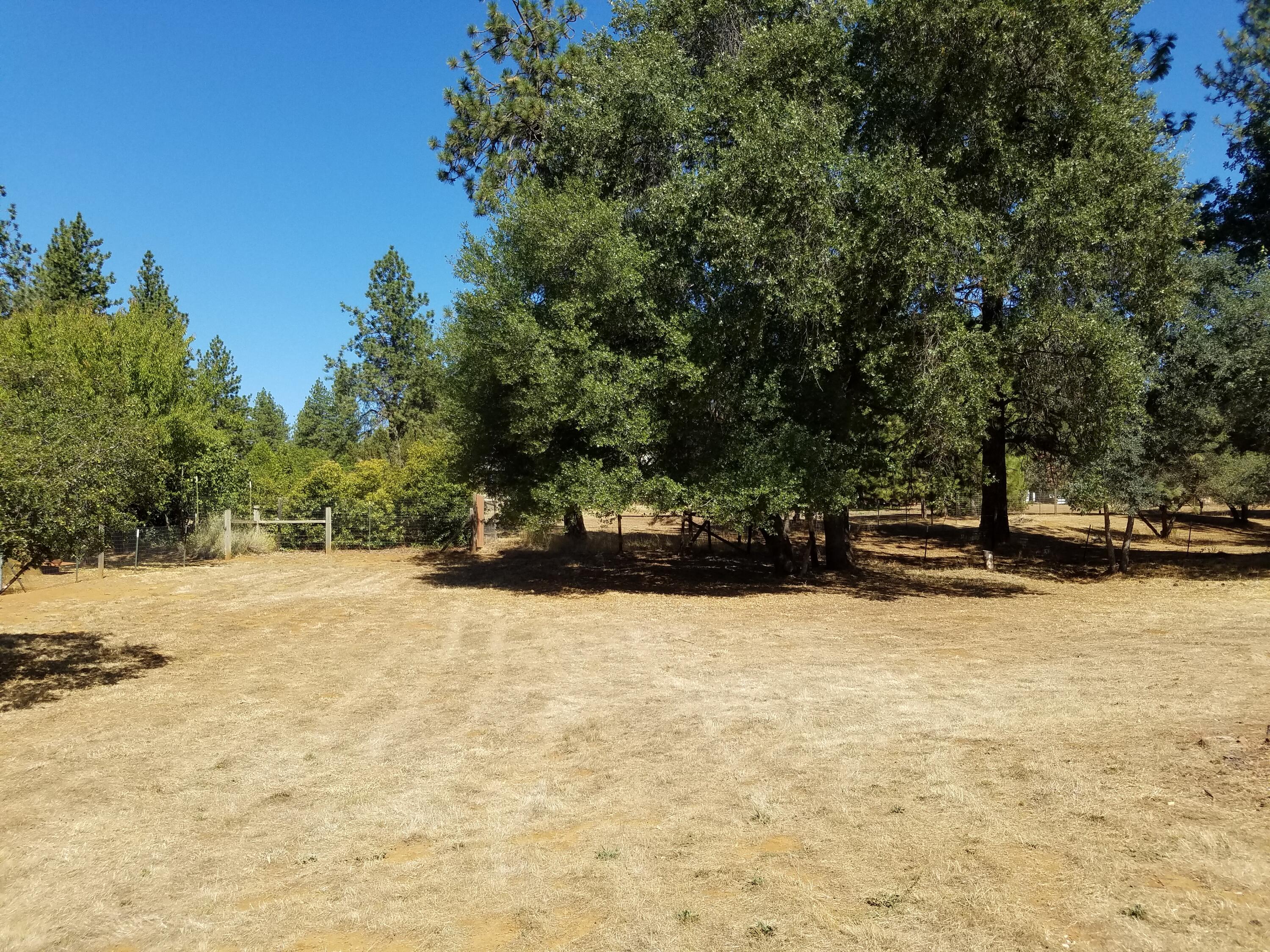 6711 Black Butte Road Shingletown, CA 96088 - Photo 16 of 40 BACK YARD V2