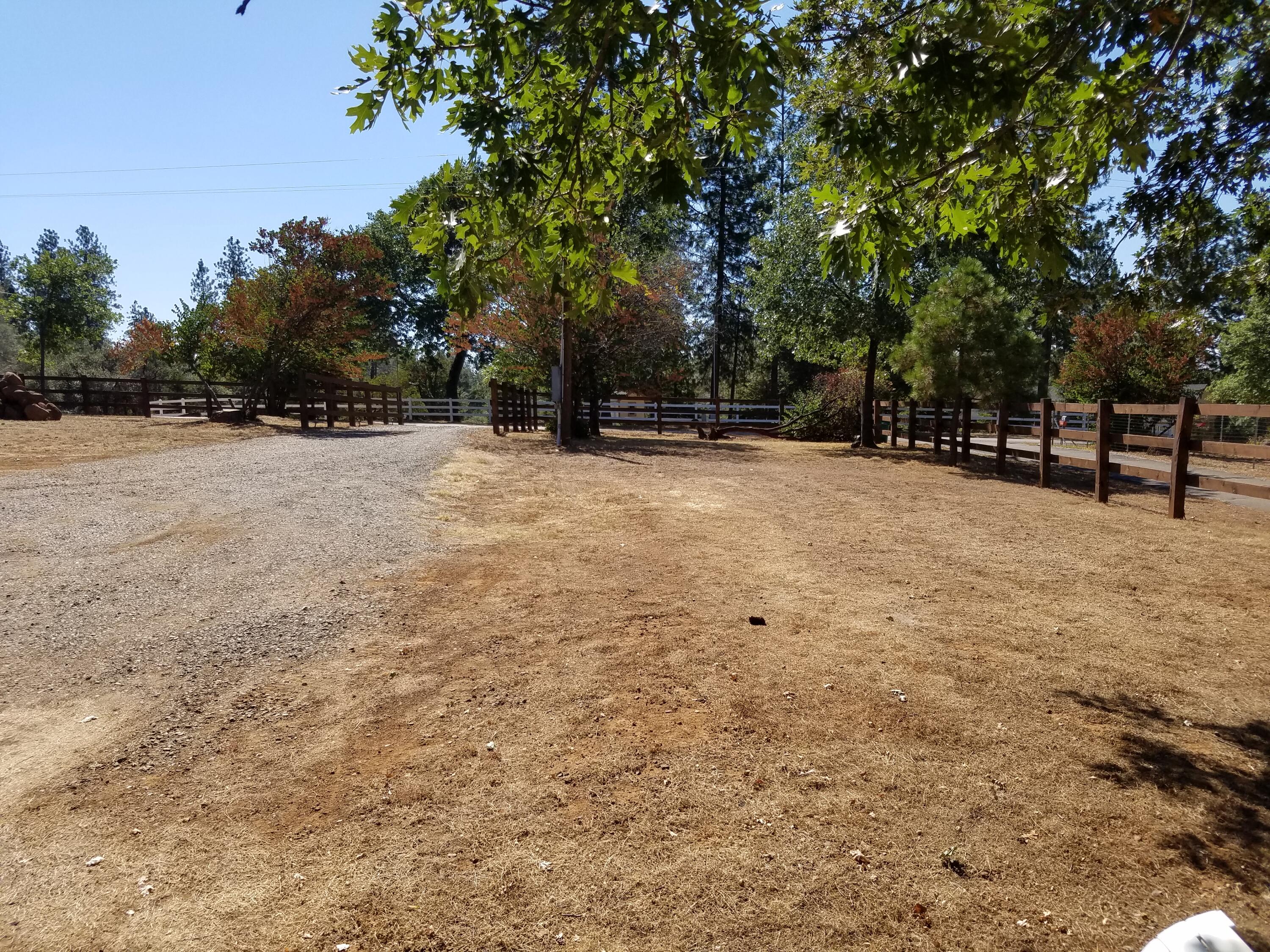 6711 Black Butte Road Shingletown, CA 96088 - Photo 7 of 40 FRONT YARD V2